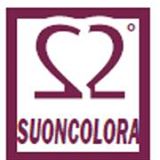 Logo XXIV° Torneo Suoncolora